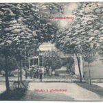 Kézdivásárhely, Targu Secuiesc; Sétatér és gőzfürdő. Gyárfás Károly kiadása / promenade and spa