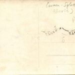 Eforie, Carmen Sylva, Carmen Silva; Gara si Sanat. / railway station, train, sanatorium. photo (EK) - Image 2