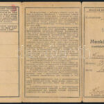 1941 Bodrogolaszi, Magyar Királyi Államvasutak fényképes munkásigazolvány munkáshetijegyek váltására - Image 2