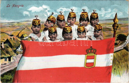 La Hongrie / Flag of Austria-Hungary