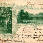 1905 Dánszentmiklós, Dános (Albertirsa); kastély. Kanitz C. és Fiai. Art Nouveau, floral (fl)