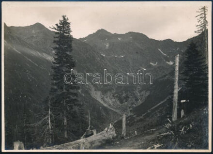 cca 1910 Fogarasi-havasok, Erdélyi Mór felvétele, hátulján feliratozva, 11,5×16 cm / Fagaras Mountains, with notes on its back, 11,5×16 cm