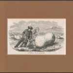 1856 A felekhegyi homok görgületek, fametszet, papír, In Vasárnapi Újság, paszpartuban, 9,5x15,5 cm, 19,5x25,5 cm
