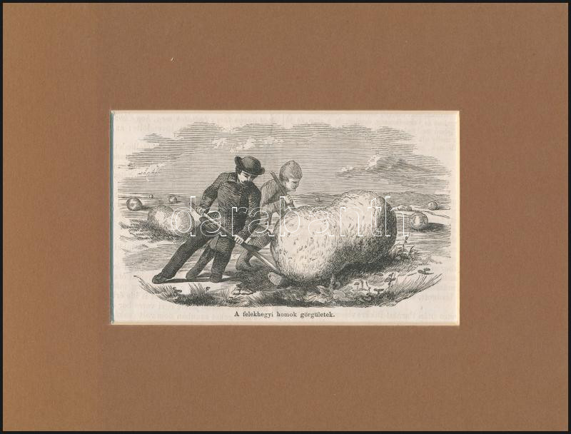 1856 A felekhegyi homok görgületek, fametszet, papír, In Vasárnapi Újság, paszpartuban, 9,5x15,5 cm, 19,5x25,5 cm