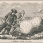 1856 A felekhegyi homok görgületek, fametszet, papír, In Vasárnapi Újság, paszpartuban, 9,5x15,5 cm, 19,5x25,5 cm - Image 2