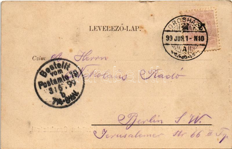 1899 (Vorläufer) Orosháza, Mikolay park. Pless N. kiadása (kis szakadás / small tear) - Image 2