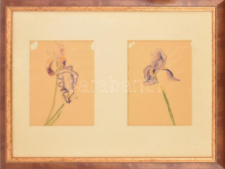 Papp Oszkár (1925-2011): Nőszirom. Akvarell, papír, jelzés nélkül. 28,5×18,5 és 28x18,5 cm. Üvegezett fakeretben.