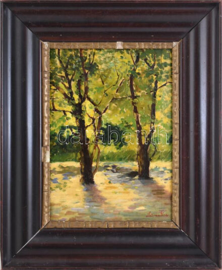 Latinka Elza (1895-1947), Nagybányán is tanult: Erdei fények. Olaj, vászon, jelezve jobbra lent. Hátoldalán töredékes aradi címkével. 45×32 cm. Dekoratív fakeretben. / Elza Latinka (1895-1947), studied also in Baia Mare: Lights in the