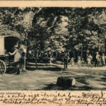 1903 Budakeszi, Vendéglő a szép juhásznéhoz, kocsi. Stern jakab kiadása (EK)