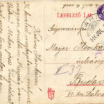1910 Tahi, Tahinyaraló (Tahitótfalu); Repaczky villa (kopott sarkak / worn corners) - Image 2