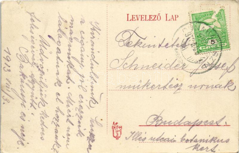 1913 Dunaharaszti, Hegyi Lajos utca - Image 2