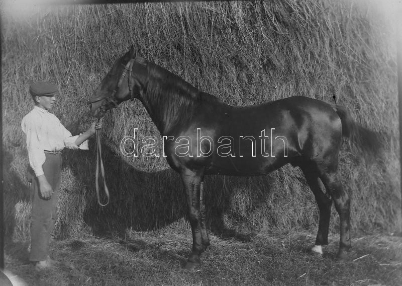 cca 1910 Balatongyörök, Keszthely, 8 db üveg negatív 9x12 cm - Image 3