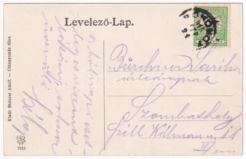 1915 Rohonc, Rechnitz; Faludy völgy. Stelczer Adolf kiadása / Faludi Tal / valley - Image 2