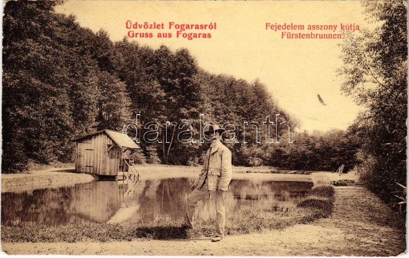 1911 Fogaras, Fagaras; Fejedelem asszony kútja. Thierfeld Dávid kiadása 764. / Fürstenbrunnen / well, spring source (EK)