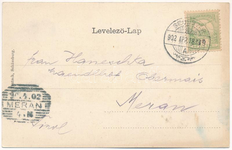 1902 Segesvár, Schässburg, Sighisoara; Totalansicht. Szecessziós erdős litho, Fritz Teutsch kiadása / Art Nouveau, forest, litho - Image 2