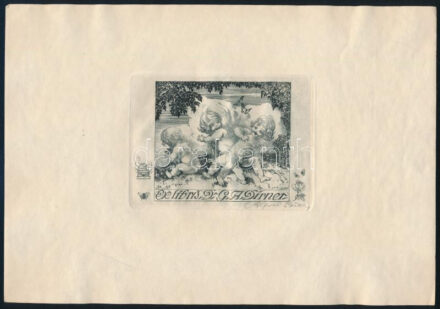 Soder, Alfred (1880-1957): Ex libris Dr. G. A. Dirner, rézkarc, papír, 8×10,5 cm