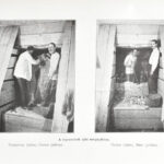 [Howard Carter (1874-1939) - Arthur Cruttenden Mace (1874-1928)] Carter, Howard - Mace, A[rthur] C[ruttenden]: Tut-Ankh-Amen sírja. Fordította: Dr. Balassa József. Az angol kiadás eredeti képeivel. Modern Utazók Felfedezők Könyvtára. - Image 3