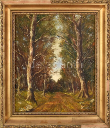 Olvashatatlan jelzéssel: Erdei táj. Olaj, vászon, javított. Dekoratív, sérült fakeretben. 60x50 cm.