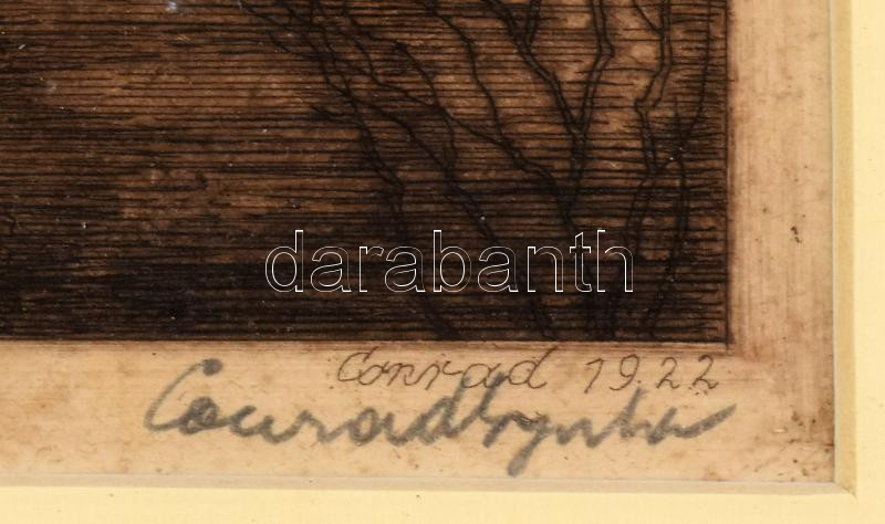 Conrad Gyula (1877-1959): Vajdahunyad vára, rézkarc, papír, jelzett, kissé foltos, üvegezett fakeretben, 19,5×13,5 cm - Image 3