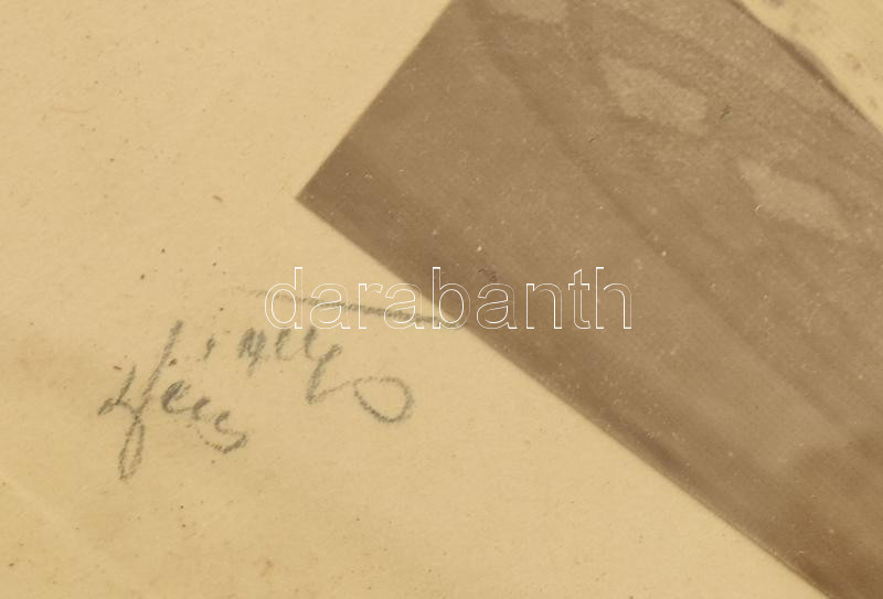 1914 gróf Üchtritz Amédé Antal és felesége báró Bánhidy Stefánia írónő Fotó mérete 17x14 cm, keret mérete 29x24 cm - Image 2