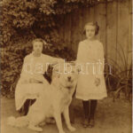 1917 Nagyvárad, Oradea; kislányok kutyával a ház udvarán / girl with dog. photo (fl)
