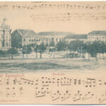 1901 Szatmárnémeti, Satu Mare; Deák tér, Losonczi József üzlete. Reizer János kiadása / square, shops (Rb)