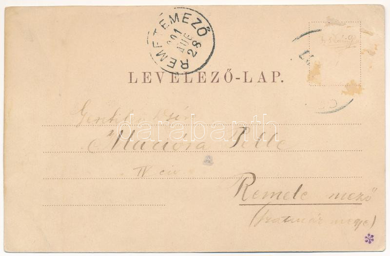 1901 Szatmárnémeti, Satu Mare; Deák tér, Losonczi József üzlete. Reizer János kiadása / square, shops (Rb) - Image 2