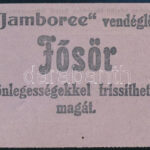 1933 Kedvezményes belépőjegy látogatók részére a gödöllői Világjamboree-ra, szép állapotban - Image 2