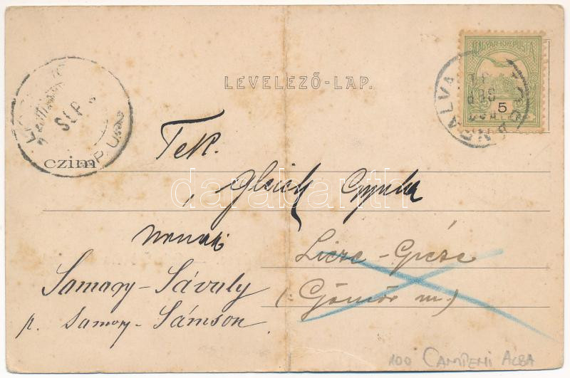 1903 Topánfalva, Topersdorf, Campeni; Schlessel és Walter-féle kastély. Csiky testvérek kiadása / castle villa (fa) - Image 2