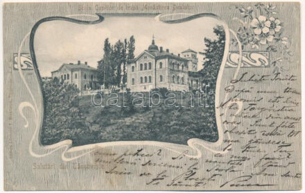 Targoviste, Tergovistye, Tirgovics; Scola Copiilor de trupa Monastirea Dealului / monastery. Art Nouveau, floral (Rb)