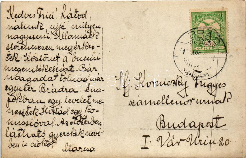 Brád, villa / villa. photo - Image 2
