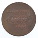 Exner Károly (1850-1919) 1900. 'Balatoni Úszók Egyesülete 1900 / Úszó verseny II. díj' bronz díjérem (35mm) T:XF fülnyom / Hungary 1900. 'Balatoni Úszók Egyesülete 1900 / Úszó verseny II. díj (Balaton Swimming Association / - Image 2