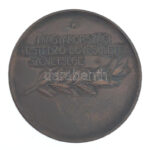 Damkó József (1872-1955) / Exner Károly (1850-1919) DN 'Magyarországi Testedző-Egyesületek Szövetsége' bronz emlékérem (45mm) T:XF patina, karc / Hungary ND 'Magyarországi Testedző-Egyesületek Szövetsége (Association of Hungarian - Image 2