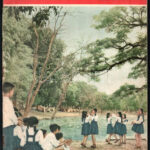 1955 People's Vietnam 5. száma, ajándékozási sorokkal