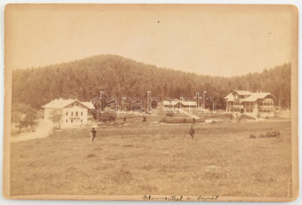 cca 1880 Poprád, Virágvölgy (Blumenthal), Magas-Tátra, keményhátú fotó, 11×16,5 cm / Poprad, Slovakia