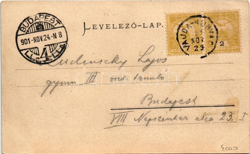 1901 Vajdahunyad, Hunedoara; Vajda-Hunyad vára. Schuller A. kiadása / castle (EB) - Image 2