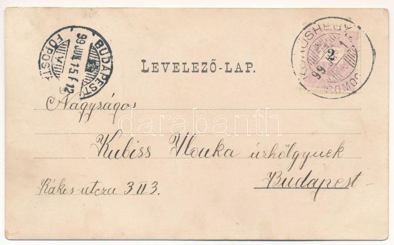 1899 (Vorläufer) Balatonfüred, gőzhajó kikötő, 'BAROSS' gőzös. Art Nouveau, floral, litho (r) - Image 2