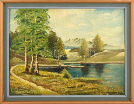 Olvashatatlan (Fierling v. Bierling) jelzéssel: Vízparti táj. Olaj, farost. Dekoratív fakeretben. 44x56 cm.