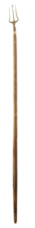 Háromágú szigony. cca 1800. 180 cm