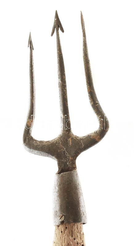 Háromágú szigony. cca 1800. 180 cm - Image 2