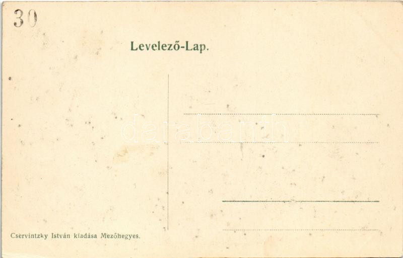 Mezőhegyes, csikó ménes, lovak. Cservintzky István kiadása (EK) - Image 2