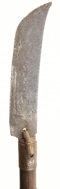 Gléfe Bárd, alabárd, / Glaive cca 1700. 160 cm - Image 2