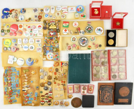 Alumínium bőröndnyi 'Nagypapa kincsesládája', benne rengeteg (szocialista) jelvény, kitüntetés, emlékérem és plakett, valamint két kis albumnyi érme, az egyikben nagyrészt csak szovjet-orosz emlékkiadású rubelek T:vegyes