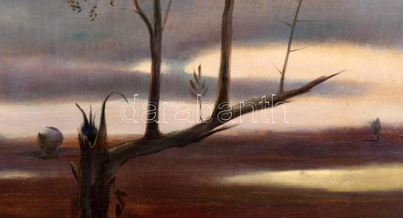 Nánay Szilamér (1952-): Az élet meg nem áll, 1986. Olaj, farost, jelzett, hátoldalán Zichy Galéria címkéjével és a művész saját címkéjén autográf felirattal. Díszes, sérült fa keretben, 45×75 cm - Image 2