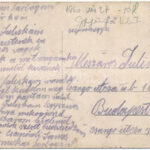 1916 Sárbogárd, Andrássy út. Vasúti Levelezőlapárusítás 6743. (Rb) - Image 2