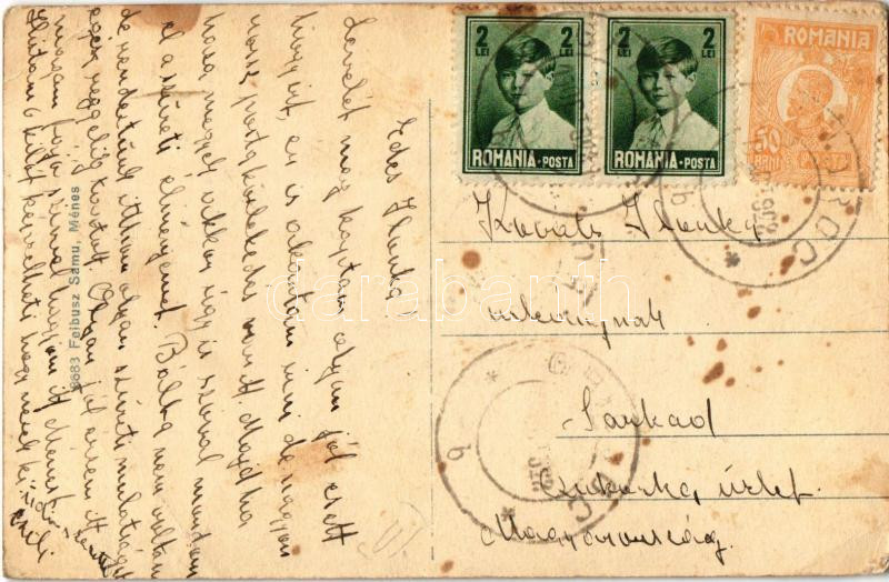 1928 Ménes, Minis (Arad); Lori lak, Ortutay villa. Feibusz Samu kiadása / villas (EB) - Image 2