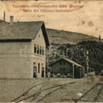 Topánfalva-Aranyosszohodol, Campeni-Sohodol; kisvasúti vasútállomás. Csiky Testvérek 2 sz. 1917. / railway station (fl)