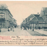 1900 Nagyvárad, Oradea; Zöldfa utca, Schlosser C., Moskovits Szidor, Beczkay Lajos és Pántya Péter üzlete. Helyfi László kiadása / Grünebaumgasse / street, shops