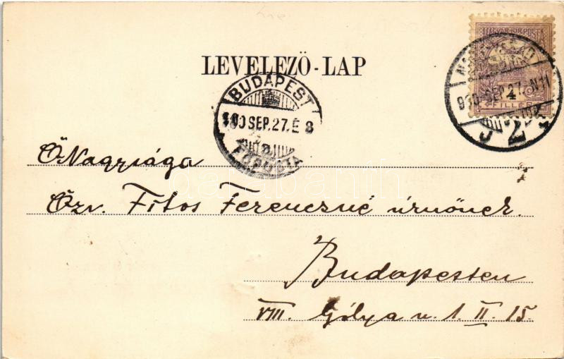 1900 Nagyvárad, Oradea; Püspöki palota, székesegyház, múzeum. Helyfi László kiadása /bishop's palace, museum, cathedral - Image 2