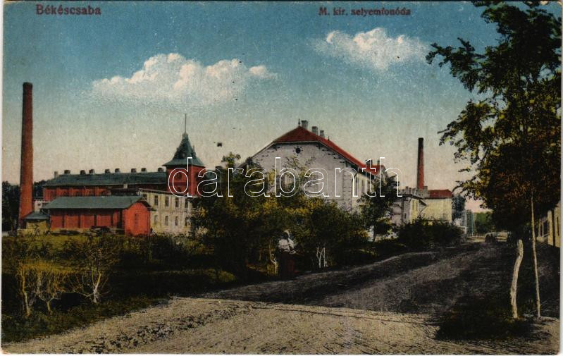 Békéscsaba, M. kir. selyemfonoda, gyár. Vasúti levelezőlapárusítás 21. 1918.